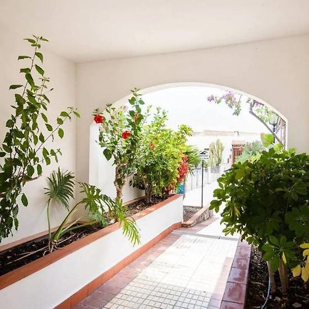 1 Bedroom Apartment For 4 People In Tenerife Costa Adeje  Zewnętrze zdjęcie